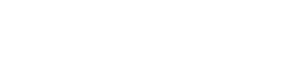 Craigs Investment Partners logo